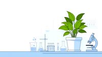 Laboratory workspace with green plant, microscope and scientific glassware for research and experimentation in clean modern setting.