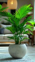 Lush green areca palm in round concrete pot against blurred interior background, natural sunlight highlighting vibrant fronds. Perfect for home decor concepts.