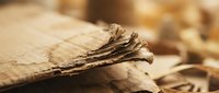 Ancient weathered parchment manuscripts with torn edges and aged texture, perfect for historical documents, vintage backgrounds, and antique design projects.