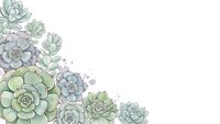 Watercolor succulent plants corner border arrangement on white background for botanical design projects and natural decoration elements.