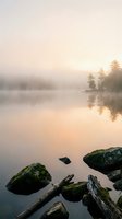 Serene misty lake at dawn with moss-covered rocks and driftwood in foreground, coniferous trees reflected in calm water, peaceful nature landscape for meditation and relaxation projects.
