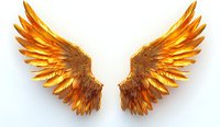 Majestic golden wings spread wide against white background, featuring detailed metallic feathers in vibrant orange and yellow tones, isolated design element for creative projects.
