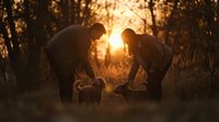 Two people camping outdoors at golden hour sunset, preparing campfire in forest wilderness setting for adventure travel and outdoor recreation activities.
