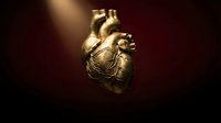 Golden anatomical heart model with detailed arteries and veins on dark background with dramatic lighting for medical education and healthcare concepts.