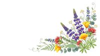 Watercolor wildflower corner arrangement with lupines, poppies and herbs on white background for greeting cards and botanical design projects.