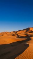 Golden sand dunes with dramatic shadows under clear blue sky, showcasing desert landscape and arid terrain for travel, nature, and environmental design projects.