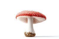 Vibrant red and white spotted fly agaric mushroom isolated on white background, showcasing detailed gills and stem with soil particles at base.