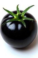 Fresh black tomato with water drops and green stem on white background, macro photography showing detailed texture and natural moisture.
