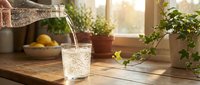 Pouring fresh water into glass on wooden kitchen counter with potted plants and fruit bowl in sunlit window setting.