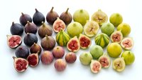 Fresh figs collection showing purple and green varieties with cut halves revealing sweet flesh, perfect for healthy eating and culinary projects.