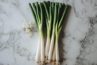 Fresh green onions scallions bunch with roots on white marble surface for cooking ingredients and healthy eating recipes.