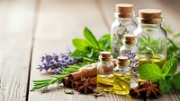 Essential oils in glass bottles with fresh herbs, lavender, mint and spices on wooden background for aromatherapy and natural wellness treatments.
