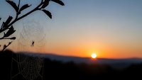 Spider web with morning dew drops silhouetted against golden sunrise sky over mountain landscape creating peaceful nature scene for meditation and wellness.