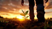 Small green plant seedling growing from soil with person walking past during golden sunset, symbolizing growth, hope and new beginnings in nature.