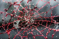 Red branching neural network visualization with glowing nodes and connections on dark background, abstract science concept showing interconnected pathways.