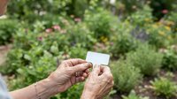 Senior woman holding blank white business card in garden with blooming flowers and green plants in background.