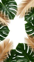 Tropical frame with monstera leaves and golden palm fronds on white background for summer design projects and botanical decorations.