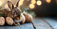 Brown bunny rabbit lying next to speckled eggs on rustic wooden surface with soft bokeh lights creating magical Easter holiday atmosphere and warm ambiance.