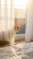 Curious ginger tabby cat peeking from behind sheer white curtain in sunlit bedroom with warm morning light and lens flare.