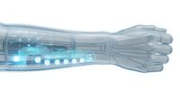 Transparent robotic arm with glowing blue circuit board technology integrated into skeletal structure, isolated on white background for design and digital applications.