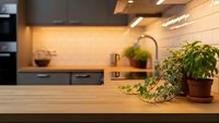 Modern kitchen interior with wooden countertop and green houseplants creating warm cozy atmosphere for home design and real estate marketing.