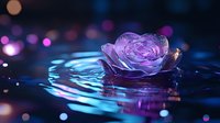 Pink rose floating on rippling water surface with magical bokeh lights in purple and blue tones creating dreamy atmosphere. Macro photography with reflections.