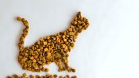 Cat silhouette formed from dry pet food kibble on white background, creative animal feed composition for veterinary or pet care marketing.