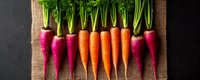 Fresh organic rainbow carrots and radishes arranged in neat row on rustic burlap background, vibrant purple and orange colors for healthy eating concept.