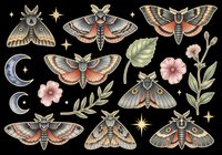 Vintage moths and celestial elements collection with botanical accents, isolated on transparent background. Ready for t-shirt design, clipart, stickers, sublimation, print-on-demand products and digital crafts.