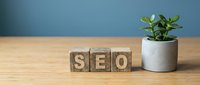 Wooden blocks spelling SEO on a desk beside a small potted plant, symbolizing digital marketing, search engine optimization strategy.