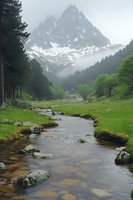 Serene mountain stream flowing through green valley with dramatic snow-capped peak in misty background, peaceful alpine landscape for nature and travel content.