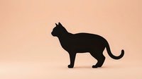 Black cat silhouette standing in profile against soft peach background, minimalist pet design for logos, decorations and graphic projects.