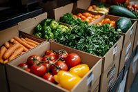 Fresh organic vegetables and produce in cardboard boxes at farmers market or grocery store, including tomatoes, carrots, peppers, and leafy greens for healthy eating.