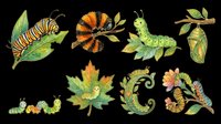 Caterpillar and butterfly lifecycle stages isolated on transparent background, ready for t-shirt designs, clipart, stickers, sublimation, print-on-demand products, and educational materials.