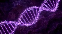 Glowing purple DNA double helix structure with neon outline on dark textured background, representing genetic science, molecular biology, and medical research applications.