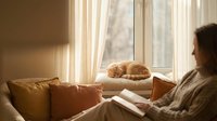 Cozy morning scene with orange tabby cat sleeping on windowsill while woman reads book in warm sunlit living room with soft curtains and cushions.