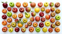 Colorful assortment of fresh apples in various varieties and colors arranged in organized rows on white background for healthy eating concepts.