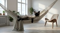 Black cat relaxing in hammock near window with potted plants and modern chair in bright minimalist interior space for home decor and lifestyle content.