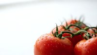 Fresh ripe red tomatoes on vine with water droplets on white background for healthy cooking and organic food concepts.