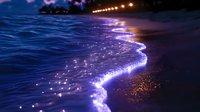 Glowing ocean waves at twilight with distant lights creating magical sparkles on dark beach shoreline, purple and blue hues reflecting on wet sand at dusk.