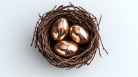 Golden eggs nestled in natural brown twig nest against white background, symbolizing wealth, investment and financial security concepts for business designs.
