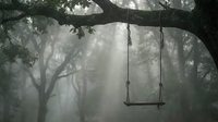 Wooden swing hanging from tree branch in misty forest creating peaceful nostalgic atmosphere for meditation and relaxation concepts.