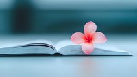 Pink plumeria flower resting on open book pages against turquoise background creates peaceful, romantic mood for wellness, meditation and reading concepts.
