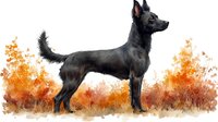 Black dog standing alert against autumn landscape background, watercolor artistic style painting with orange and brown fall foliage silhouettes.