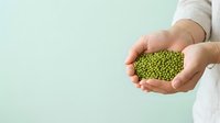 Hands holding fresh green mung beans against mint background, representing organic legumes, healthy nutrition, vegetarian protein sources, and sustainable food production for culinary and wellness content.