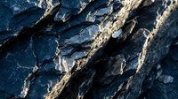 Weathered tree bark with deep cracks and natural texture, showing aged wood surface with blue-gray tones and sunlit highlights for nature and botanical backgrounds.