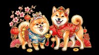 Cute Shiba Inu dogs in traditional Asian attire with lanterns, cherry blossoms, and festive decorations. Isolated on transparent background, ready for t-shirts, stickers, clipart, and print-on-demand designs.