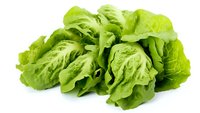 Fresh green butterhead lettuce heads with crisp leaves arranged on white background, isolated organic produce for healthy eating and food photography.