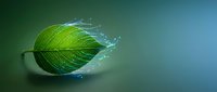 Green leaf with water droplets dissolving into digital particles on gradient background representing nature technology fusion and environmental innovation.
