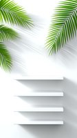 Green palm leaves and white empty shelves on light wall with natural shadows. Minimalist display setup for product presentation and merchandising.